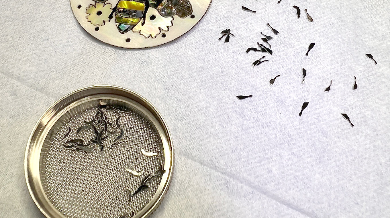 A honey bee's 🐝 beautiful little legs