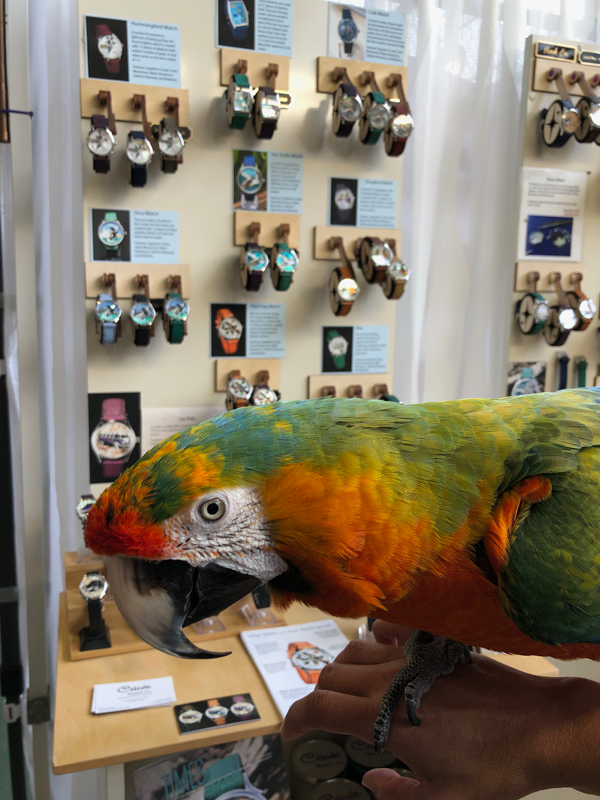 Finding "Time" at a Festival is Unusual