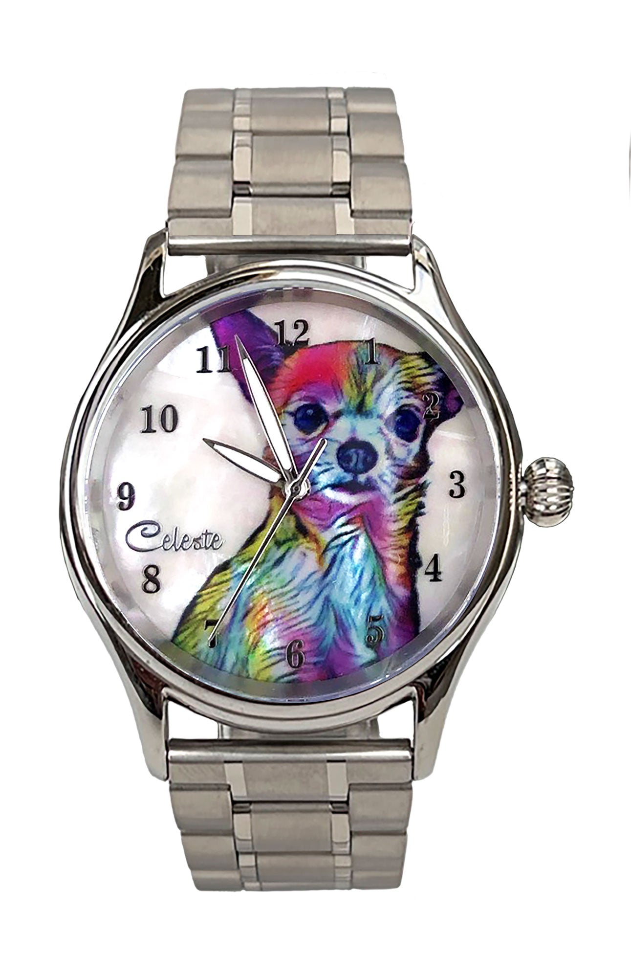Chihuahua Watch Chihuahua Watch