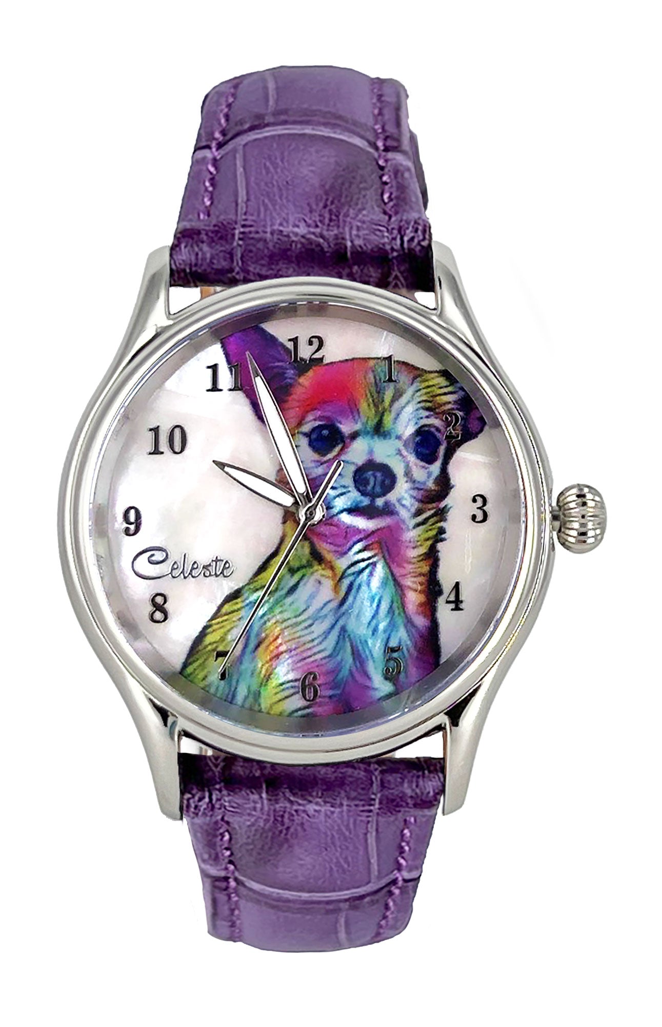 Chihuahua Watch Chihuahua Watch
