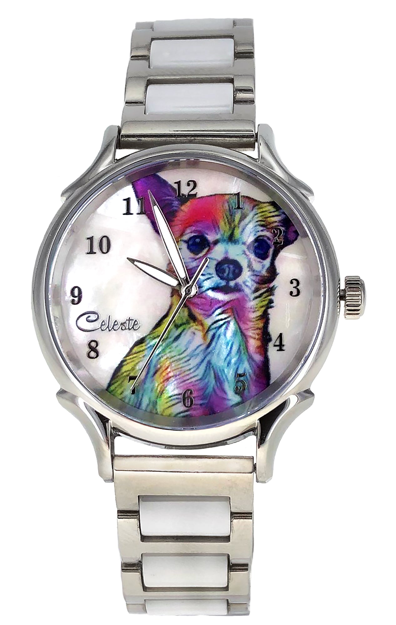 Chihuahua Watch Chihuahua Watch