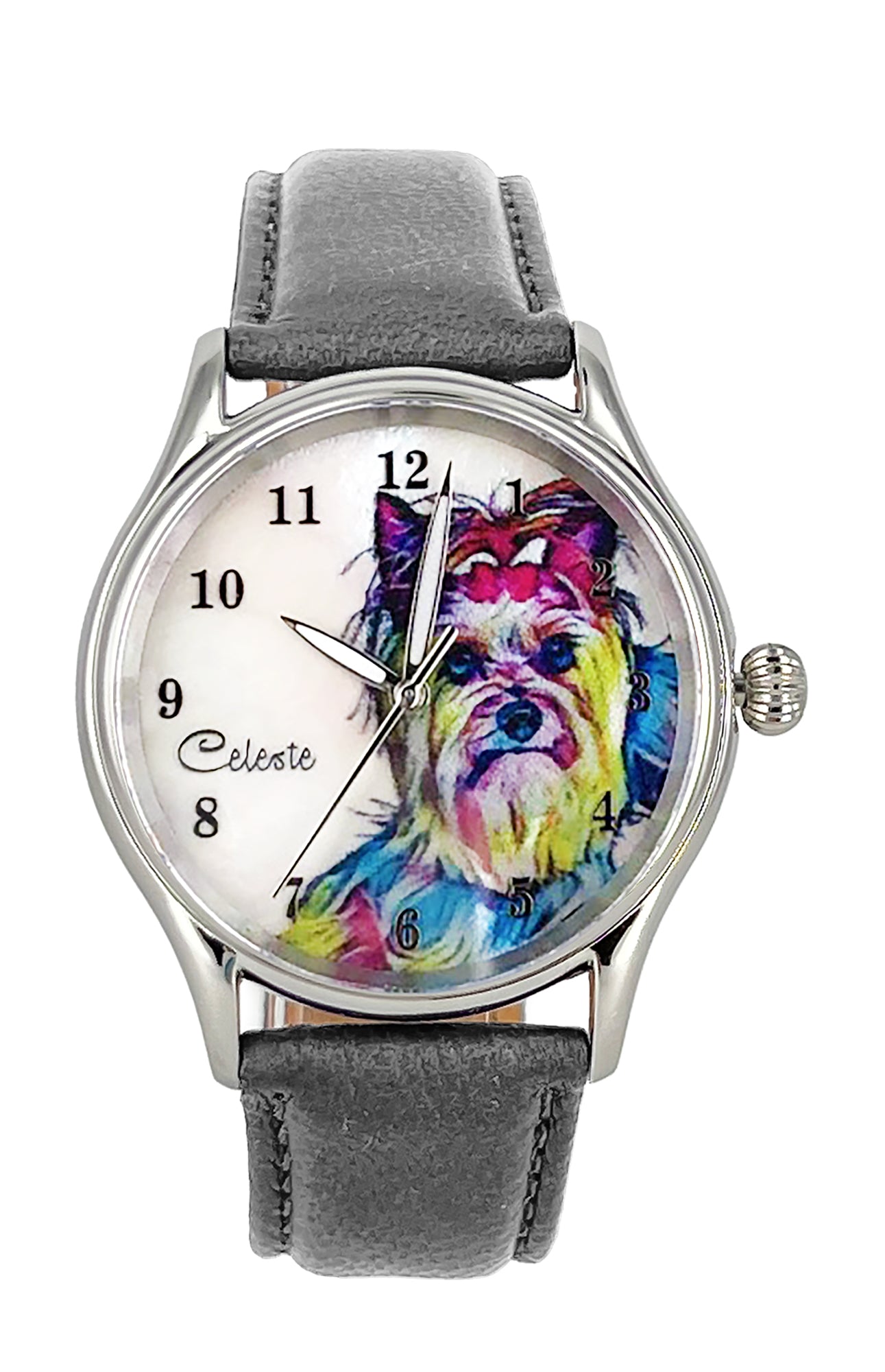 Yorkie Watch Yorkie Watch
