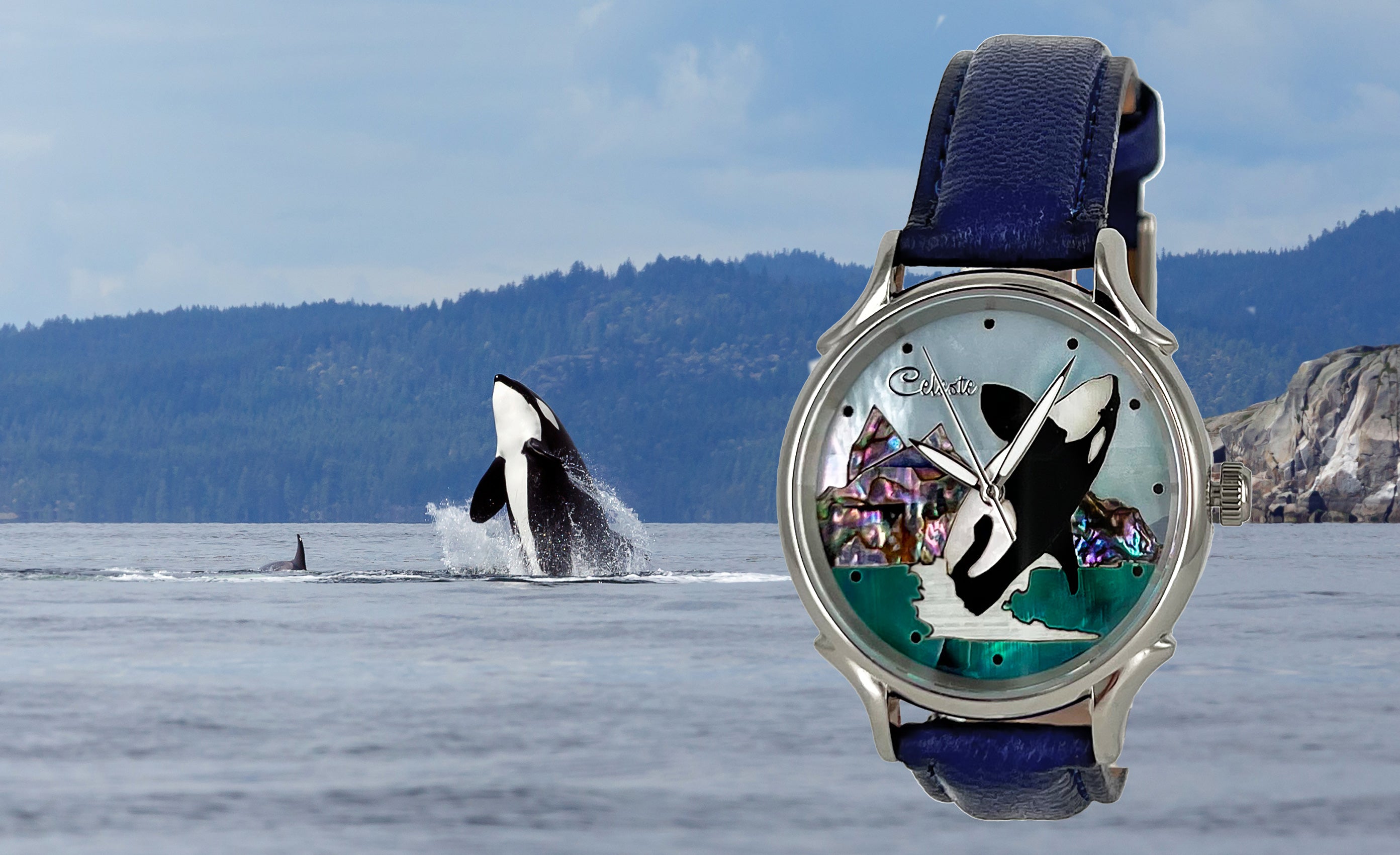 Orca – Celeste Watch Company