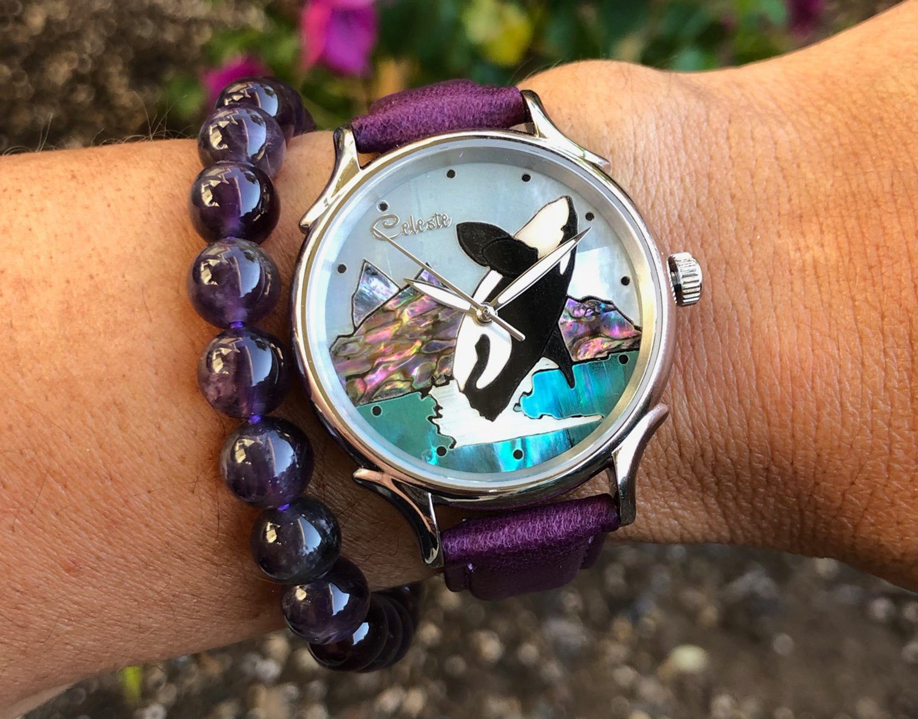 Orca – Celeste Watch Company